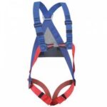 Styx Rescue Sele, Beal